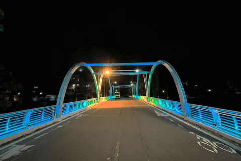 桃園市-龜山區-龜山橋