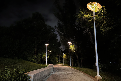 桃園市-中壢區-士校生態埤塘公園